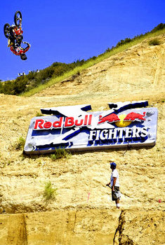 large Dimensional Wooden Sign for Red Bull