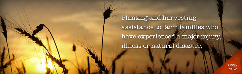 Planting and harvesting