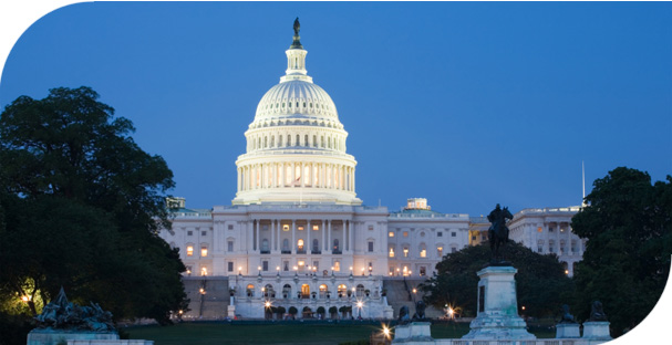 Federal Legislators