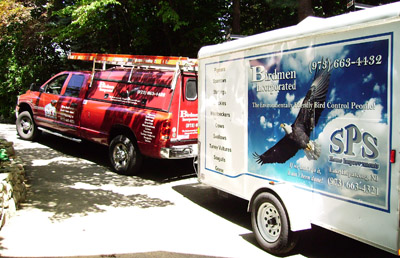 Vehicle Wrap