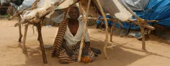 United Nations Refugee Agency
