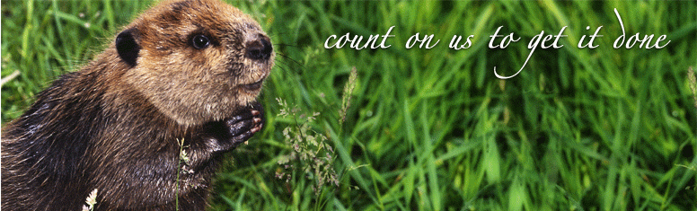 http://cdn.firespring.com/images/e/3/a/6/8/e47b68dd-332b-a7d7-6c37-8ca43771ab5e.gif
