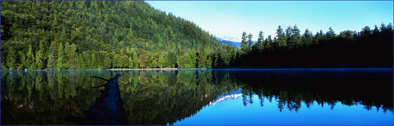 http://cdn.firespring.com/images/e/7/a/6/7/eaab0e32-717b-a302-6cf0-78faf04bf7ba.gif