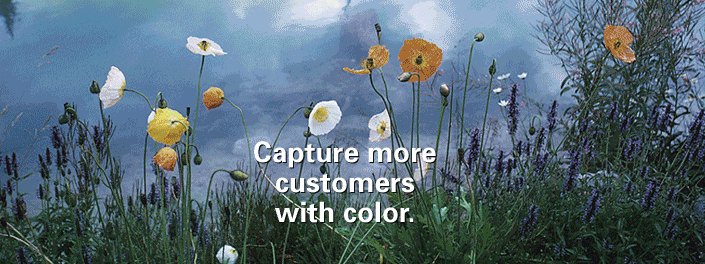color copy