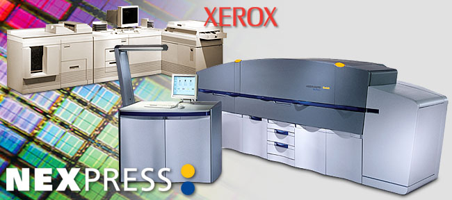 Products & Services: Print Sample 1