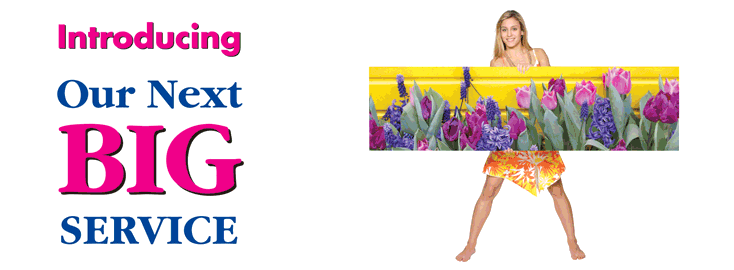 http://cdn.firespring.com/images/e/f/8/3/7/e89f8b45-faa2-8fc8-3af1-72dae936c88f.gif