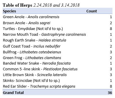 Herp Survey Results