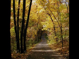 Hidden Lake Gardens