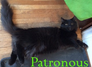 Patronus