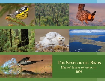 State of The Birds