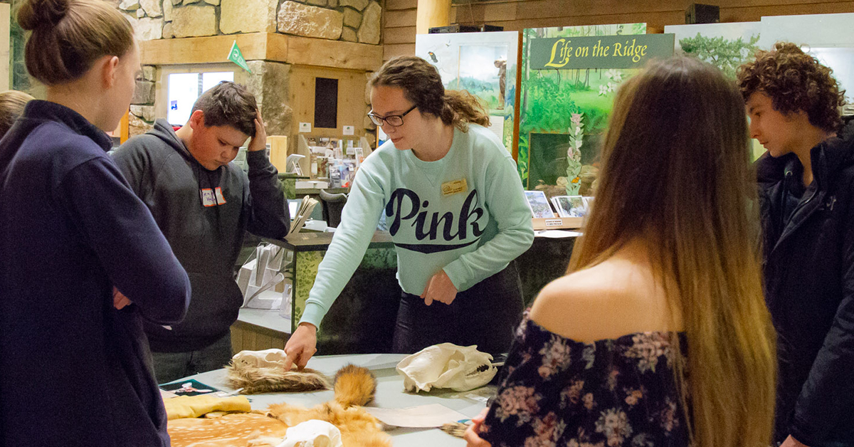 Open Studio with Youth Nature Ambassadors