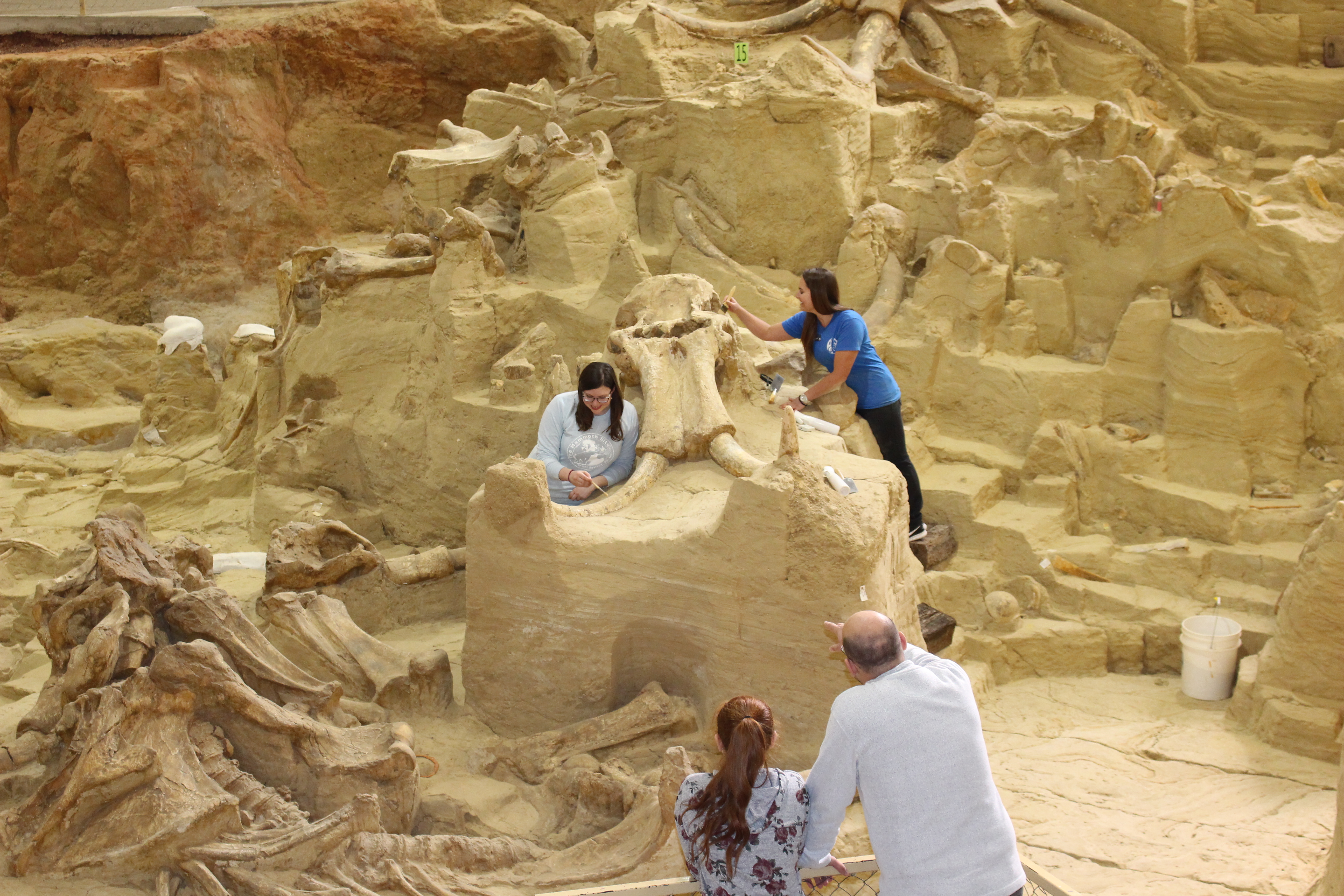 New Hours at The Mammoth Site Beginning May 15, 2018