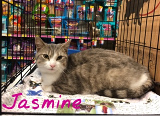 Jasmine adopted 052618
