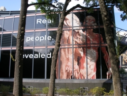 Window Graphics: