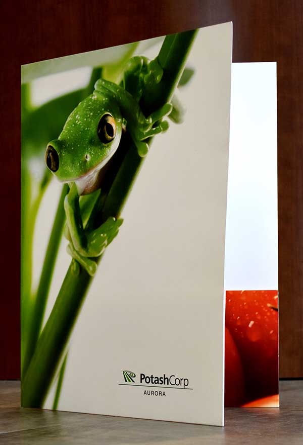 Printers Print, Signs and Design Greenville, NC