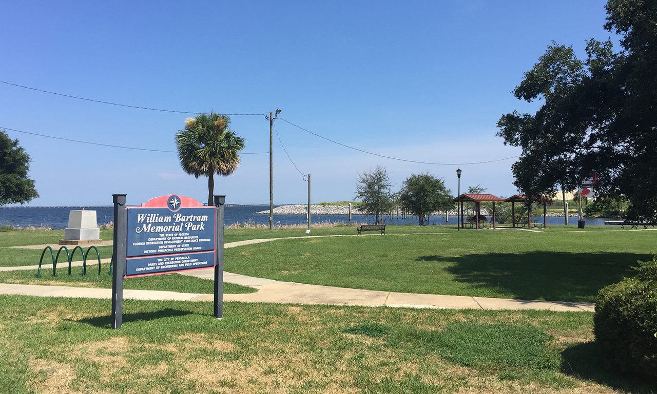 Bartram Park Cleanup