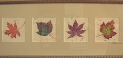-Maple Leaves