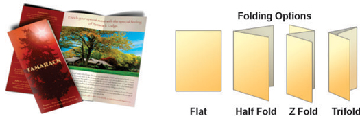 Brochure printing queens in quantities from 5 to 50,000