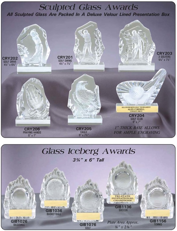Acrylic Awards 8