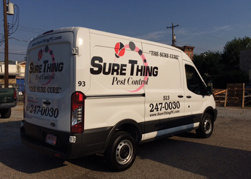 Sure Thing Vehicle Lettering