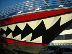 Boat Wraps