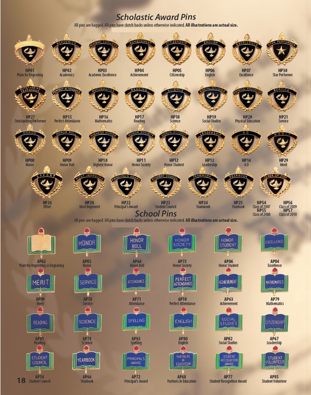 Recognition Pins 3