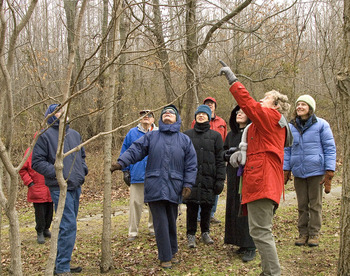 Adkins Arboretum Offers Soup 'n Walk Programs
