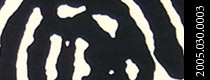 Online Exhibitions