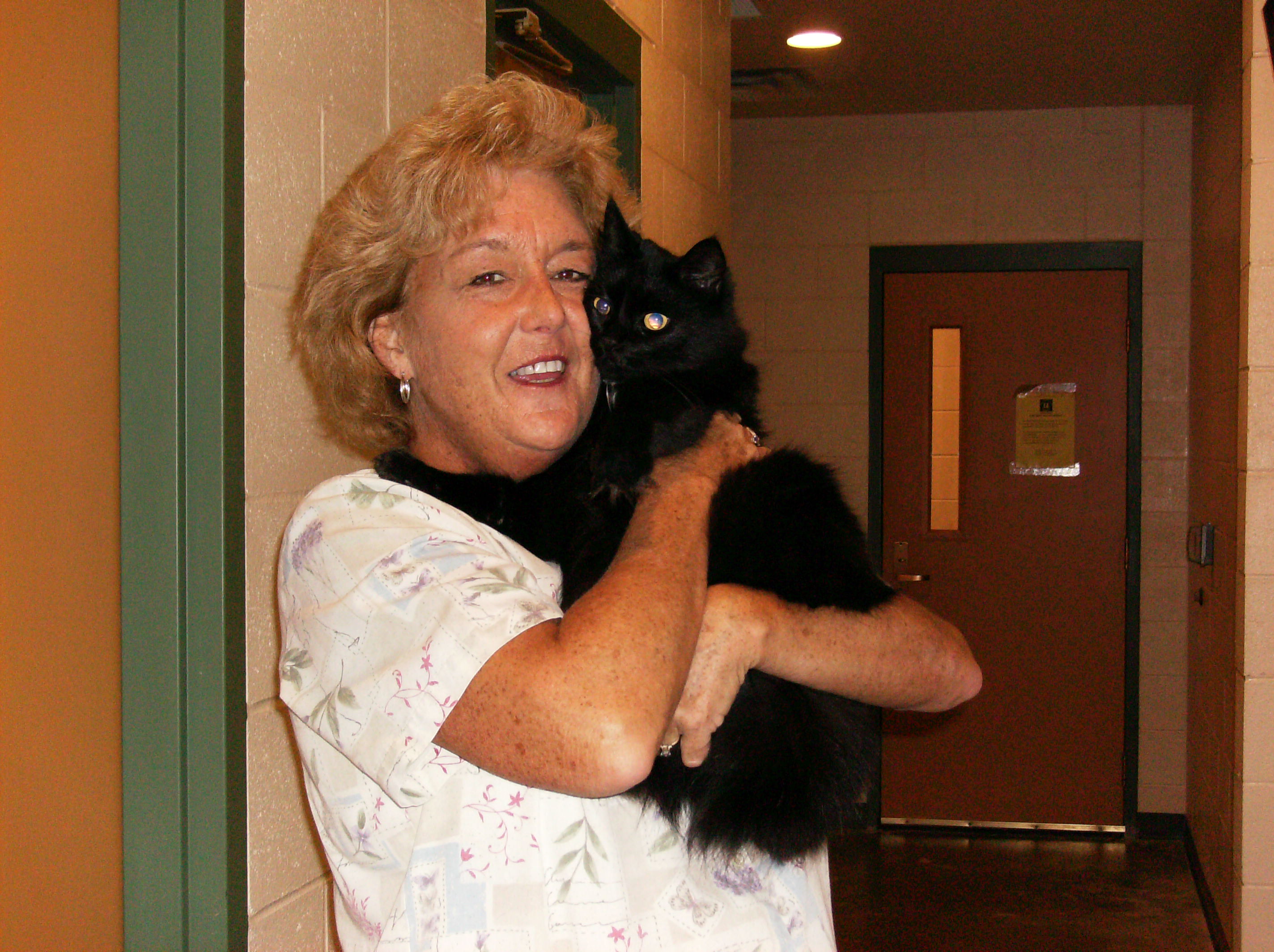 Volunteers cuddle with our kitties to keep them happy