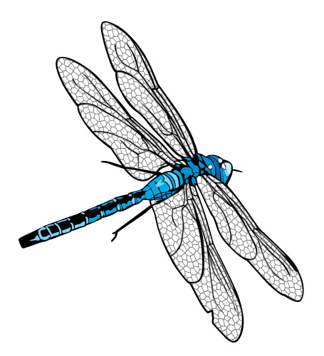 Clearwater Catering Dragonfly