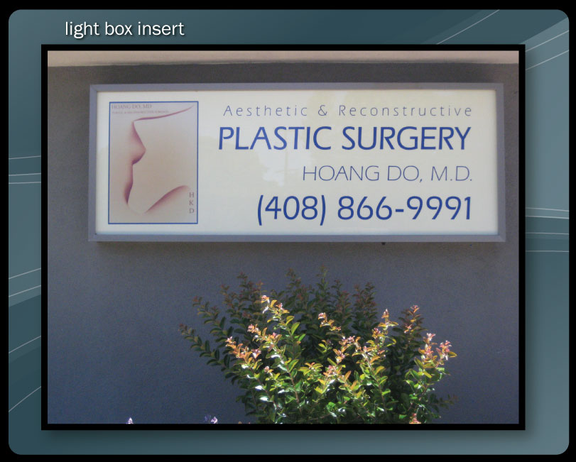 LIGHT BOX INSERT