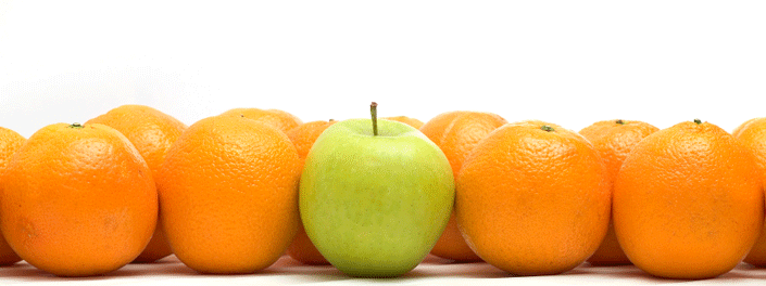 http://cdn.firespring.com/images/f/a/9/8/6/f427e36e-a9f0-9338-8ae6-6d1d50f9ede8.gif
