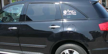 Vehicle window graphics