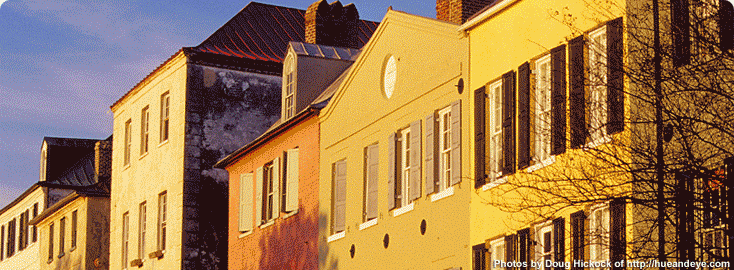 http://cdn.firespring.com/images/f/d/4/5/e/f3d19a53-dc1b-4347-53b5-e00da4dccf79.gif