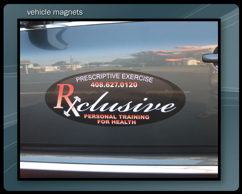 VEHICLE MAGNETICS