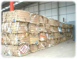 Cardboard 