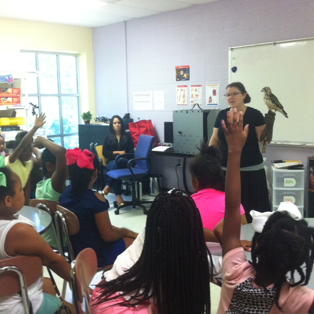 Wildlife comes to the classroom at Girls Inc. Summer Camp