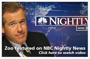 NBC Nightly News
