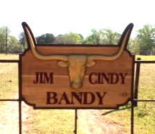 O24022 - Cedar Wood Longhorn Ranch Sign