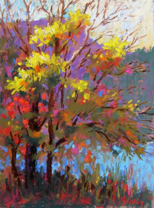 Gail Sibley - Fall Colours