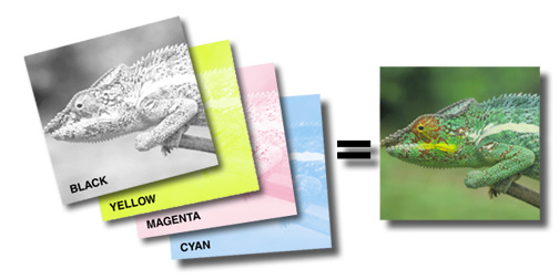 Lithographic Offset Printing