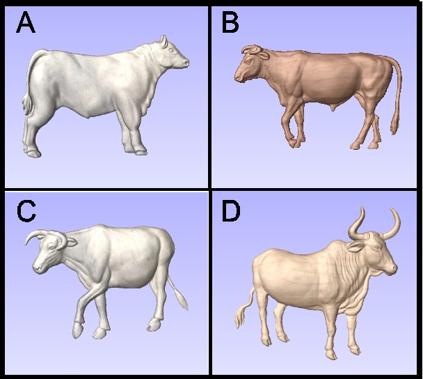 O24908 - Carved Cattle