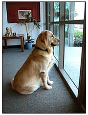 Our Staff