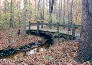 Blockston Branch path in autumn