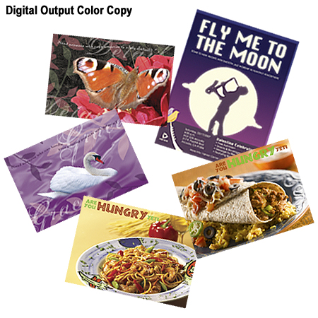 Digital Output