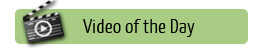 video of the day