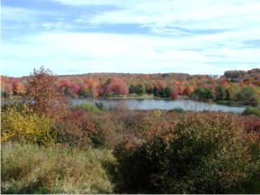 The beauty of fall in Warren Center