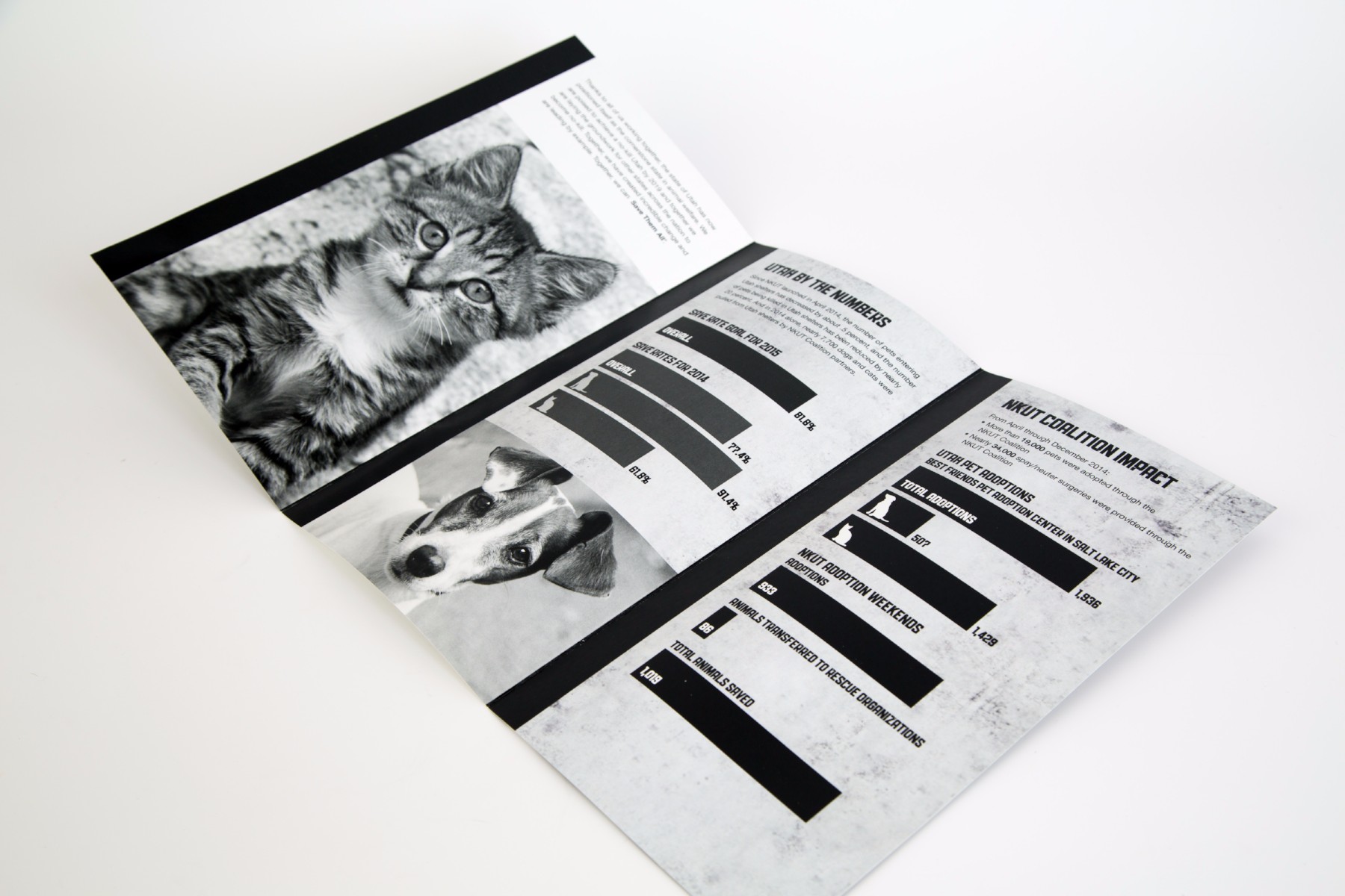 annual report printing and design in salt lake city