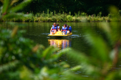 Programs & Activities