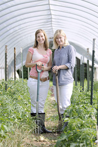 Dig In, KC! Co-chairs